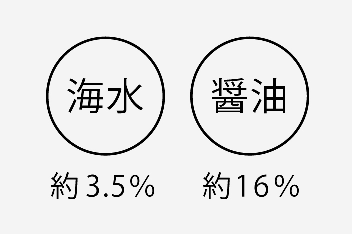 海水と醤油は どちらがしょっぱい 職人醤油 醤油を使い分けると 食はもっと楽しくなる